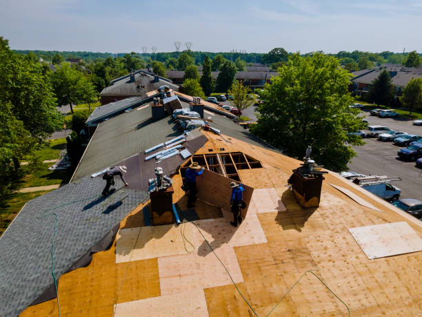 Quick and Trustworthy Emergency Roof Repair Services in Hudsonville, MI