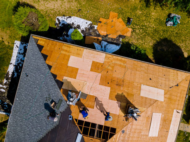 Best Roof Gutter Cleaning  in Hudsonville, MI