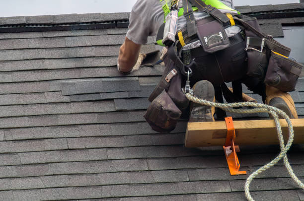 Best Storm Damage Roof Repair  in Hudsonville, MI