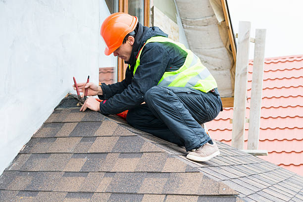 Best Residential Roofing Contractor  in Hudsonville, MI